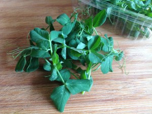 Pea Shoots