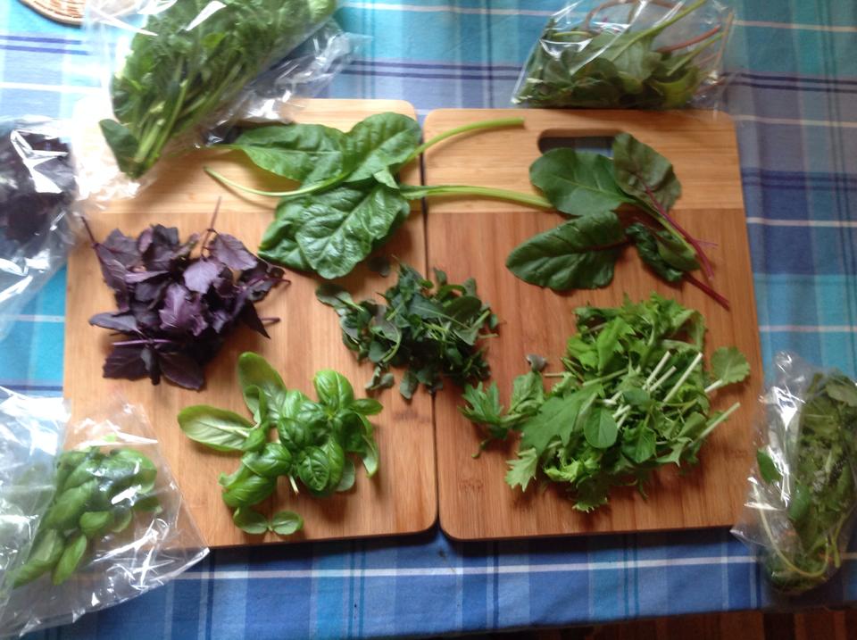 OUR FISH & GREENS OUR FISH & GREENS